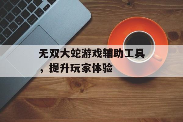 无双大蛇游戏辅助工具，提升玩家体验