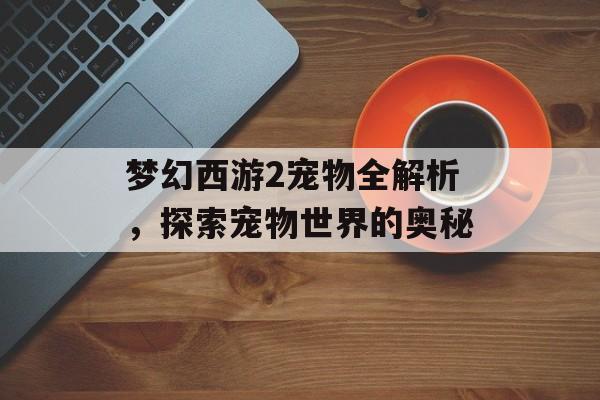 梦幻西游2宠物全解析，探索宠物世界的奥秘