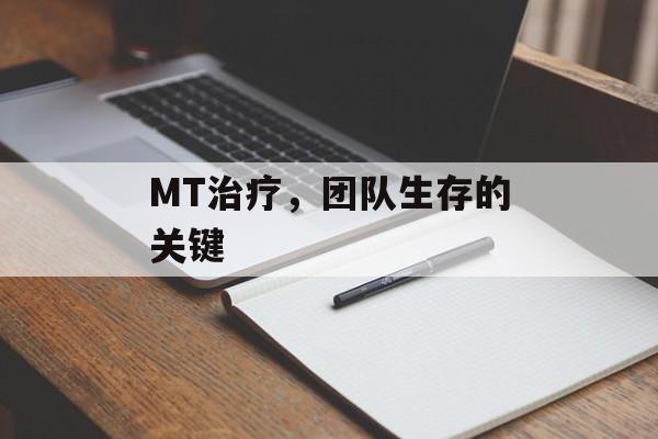 MT治疗，团队生存的关键