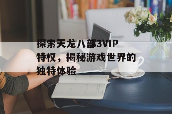 探索天龙八部3VIP特权，揭秘游戏世界的独特体验