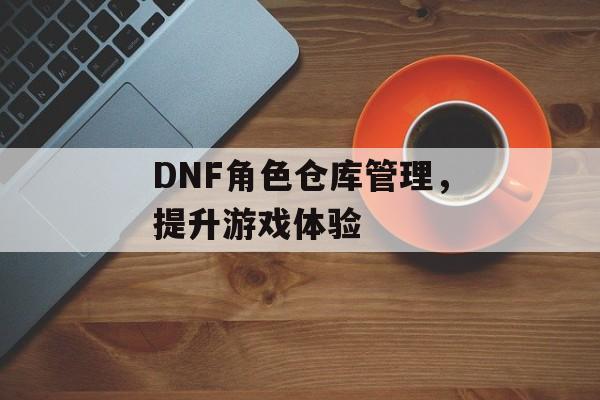 DNF角色仓库管理，提升游戏体验