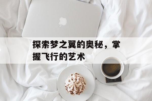 探索梦之翼的奥秘，掌握飞行的艺术