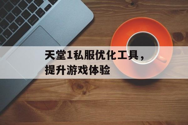 天堂1私服优化工具，提升游戏体验