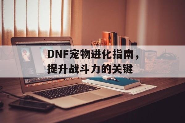 DNF宠物进化指南，提升战斗力的关键