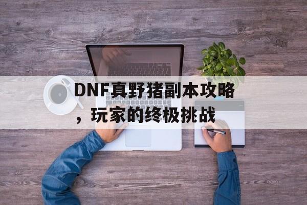 DNF真野猪副本攻略，玩家的终极挑战