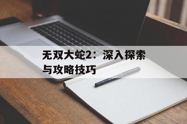 无双大蛇2：深入探索与攻略技巧