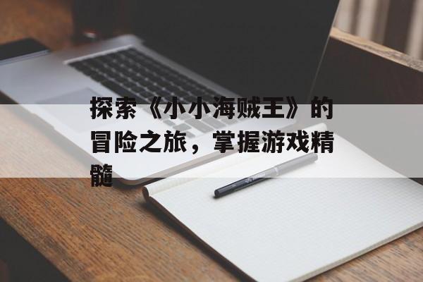 探索《小小海贼王》的冒险之旅，掌握游戏精髓