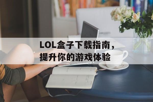 LOL盒子下载指南，提升你的游戏体验