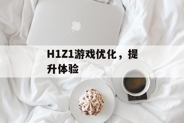 H1Z1游戏优化，提升体验