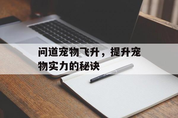 问道宠物飞升，提升宠物实力的秘诀