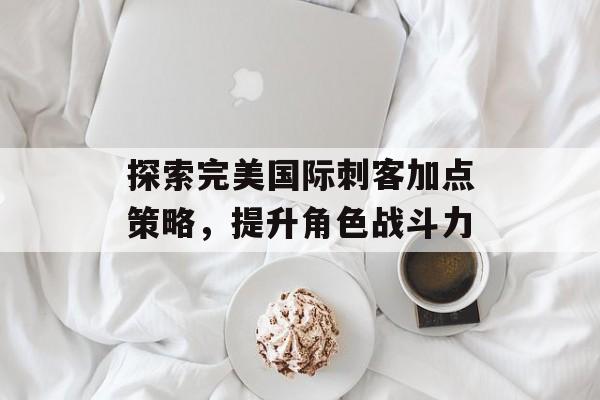 探索完美国际刺客加点策略，提升角色战斗力