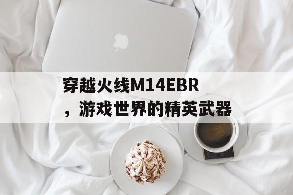 穿越火线M14EBR，游戏世界的精英武器