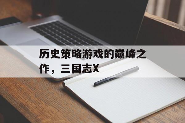 历史策略游戏的巅峰之作，三国志X