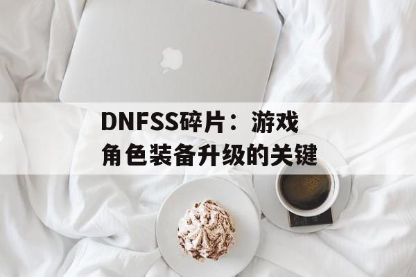DNFSS碎片：游戏角色装备升级的关键