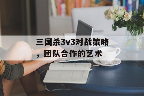 三国杀3v3对战策略，团队合作的艺术