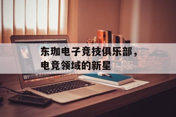 东珈电子竞技俱乐部，电竞领域的新星