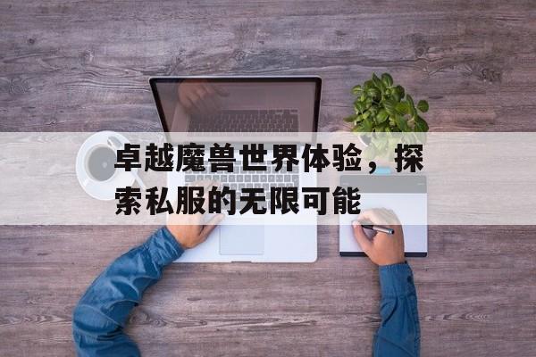卓越魔兽世界体验，探索私服的无限可能
