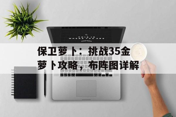 保卫萝卜：挑战35金萝卜攻略，布阵图详解