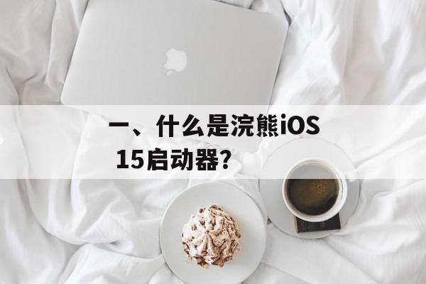 一、什么是浣熊iOS 15启动器？