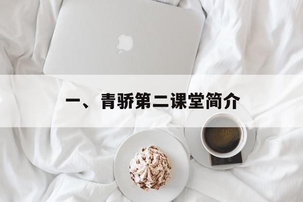 一、青骄第二课堂简介