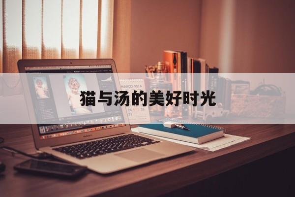 猫与汤的美好时光