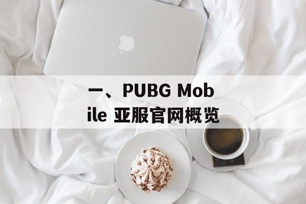 一、PUBG Mobile 亚服官网概览