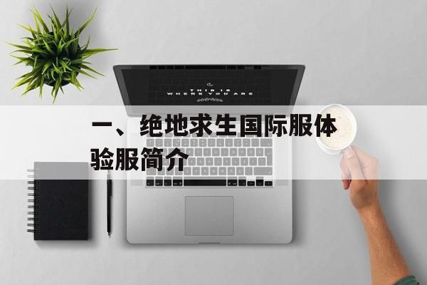 一、绝地求生国际服体验服简介
