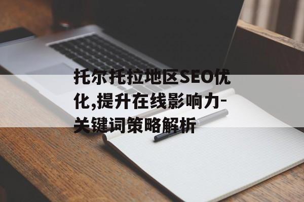 托尔托拉地区SEO优化,提升在线影响力-关键词策略解析