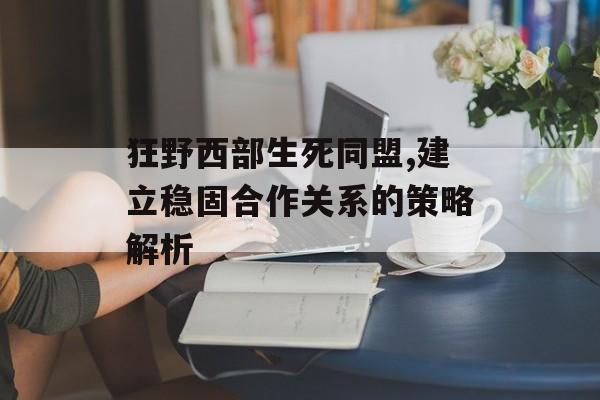 狂野西部生死同盟,建立稳固合作关系的策略解析