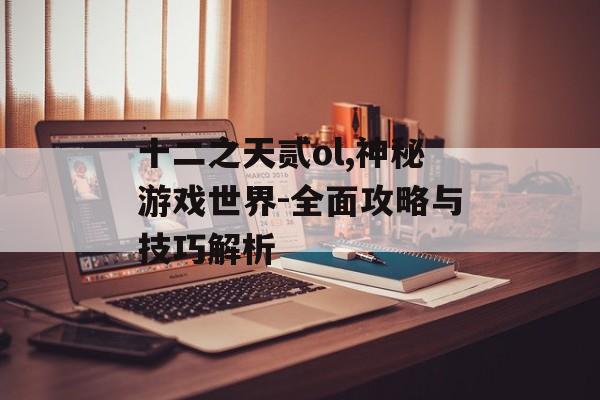 十二之天贰ol,神秘游戏世界-全面攻略与技巧解析