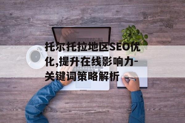 托尔托拉地区SEO优化,提升在线影响力-关键词策略解析