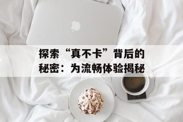 探索“真不卡”背后的秘密：为流畅体验揭秘