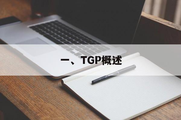 一、TGP概述