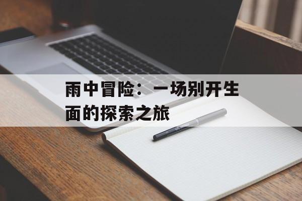 雨中冒险：一场别开生面的探索之旅
