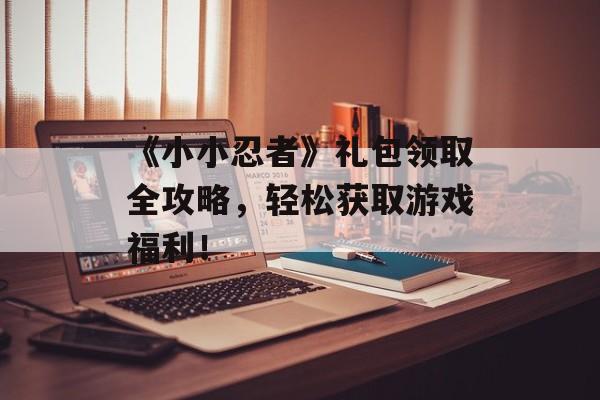 《小小忍者》礼包领取全攻略，轻松获取游戏福利！