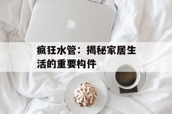 疯狂水管：揭秘家居生活的重要构件