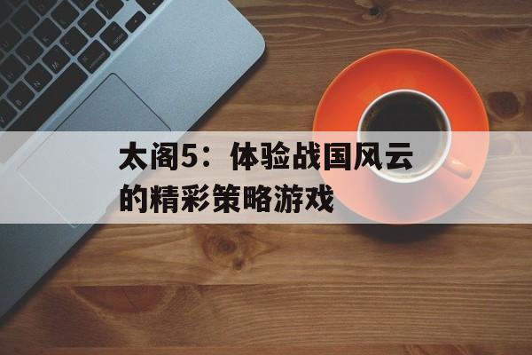 太阁5：体验战国风云的精彩策略游戏