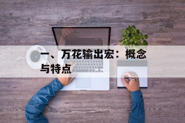 一、万花输出宏：概念与特点