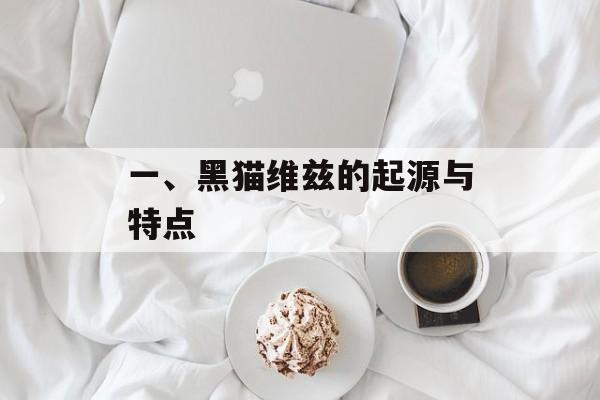 一、黑猫维兹的起源与特点