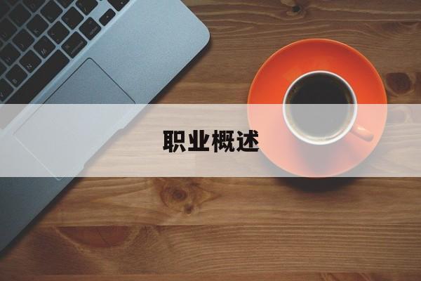 职业概述