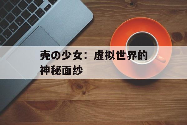 壳の少女：虚拟世界的神秘面纱
