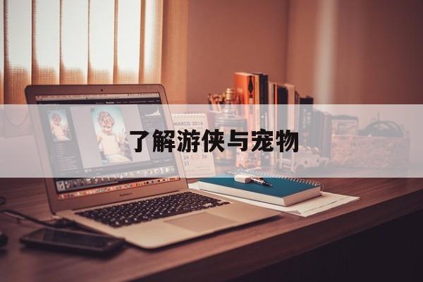 了解游侠与宠物
