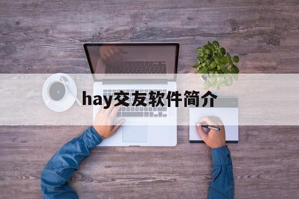 hay交友软件简介