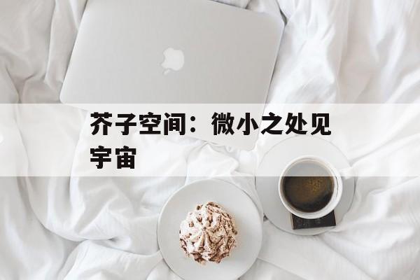 芥子空间：微小之处见宇宙