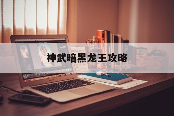 神武暗黑龙王攻略