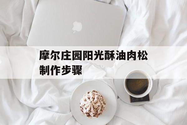 摩尔庄园阳光酥油肉松制作步骤