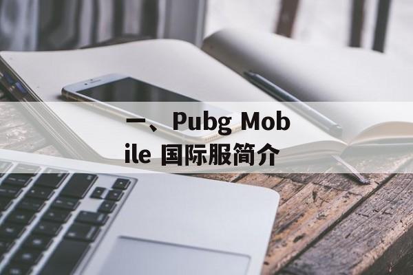 一、Pubg Mobile 国际服简介