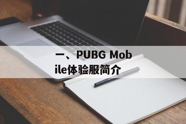 一、PUBG Mobile体验服简介