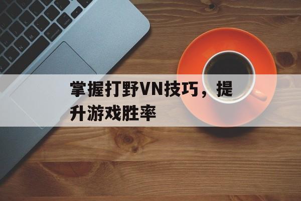 掌握打野VN技巧，提升游戏胜率