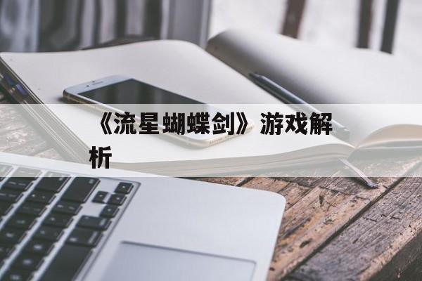 《流星蝴蝶剑》游戏解析